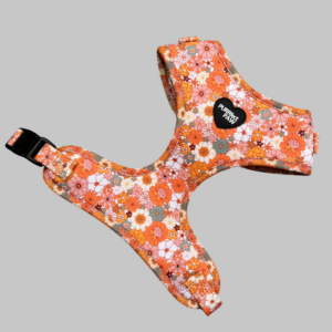 Back to the 70's harness voor honden