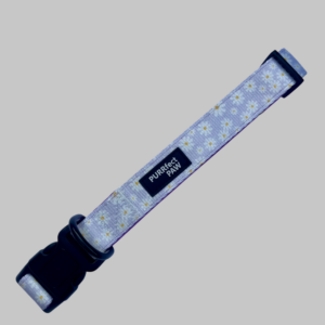 Halsband Sunshine daisy voor honden