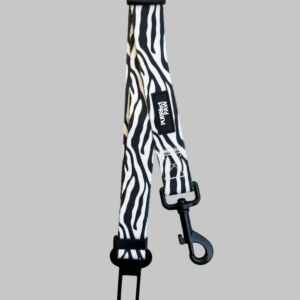 Auto lijn zebra
