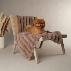 Scruffs blanket Cream