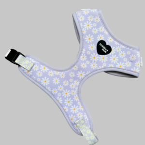 Sunflower daisy harness voor honden